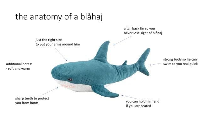 shark diagram